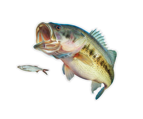 Largemouth Bass Mega Decal