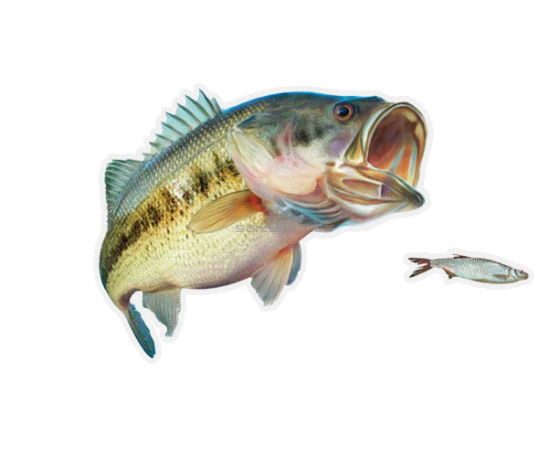 Largemouth Bass Mega Decal