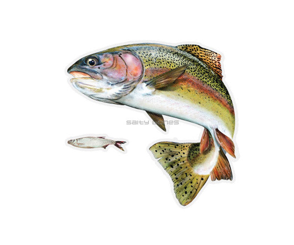 Rainbow Trout Mega Decal