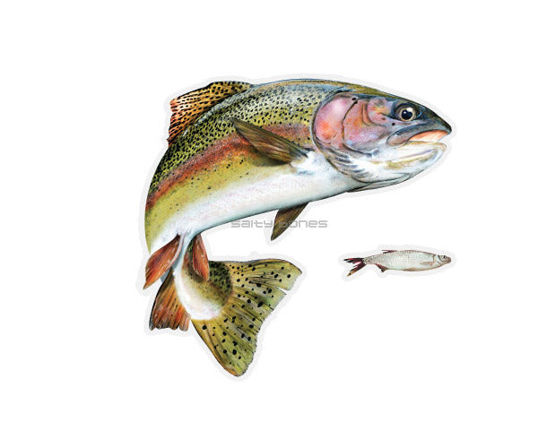 Rainbow Trout Mega Decal