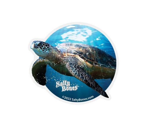 Sea Turtle Tumbler Decal