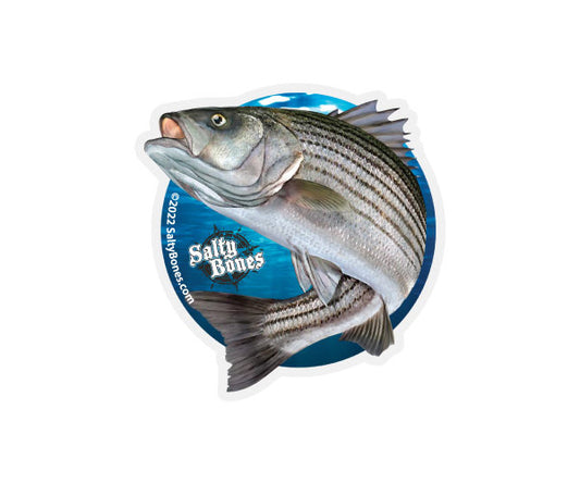 Striped Bass Tumbler Decal