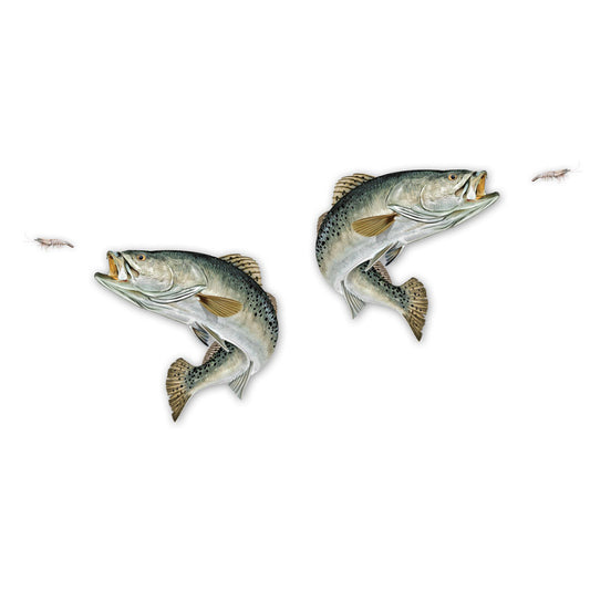 Speckled Trout Mega Decal Double Pack