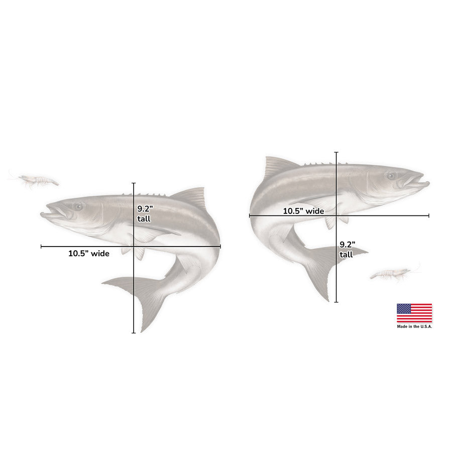Cobia Mega Decal Double Pack