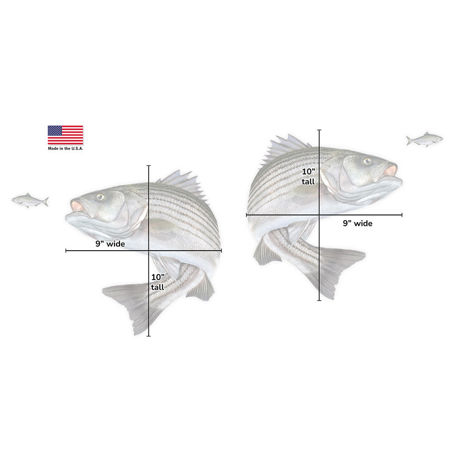 Striped Bass Mega Decal Double Pack