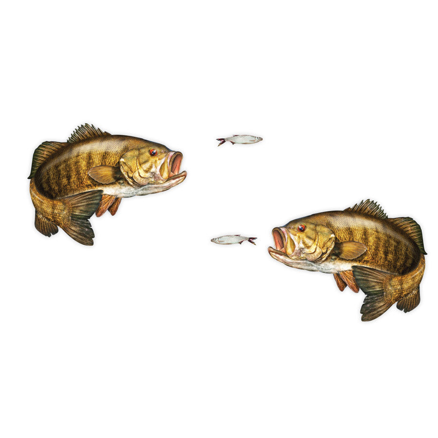 Smallmouth Bass Mega Decal Double Pack