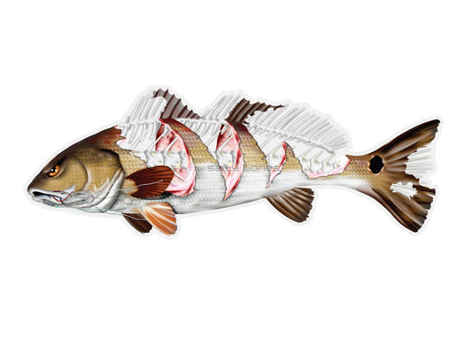 Shredded Redfish Profile Fish Decal