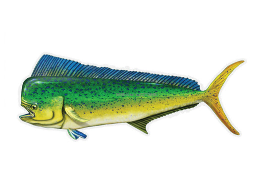 Mahi Profile Fish Decal