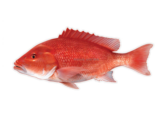 Red Snapper Profile Fish Decal