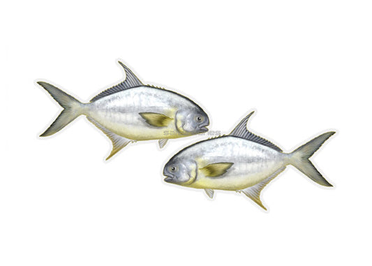 Pompano Profile Fish Decals