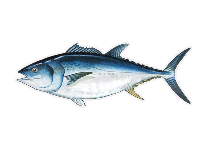 Bluefin Tuna Profile Fish Decal