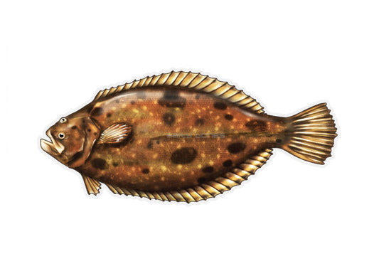 Flounder Profile Fish Decal