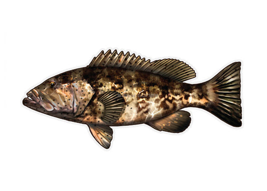 Goliath Grouper Profile Fish Decal