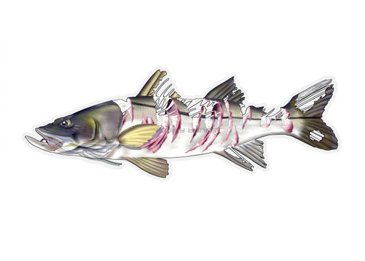 Shredded Snook Profile Fish Decal