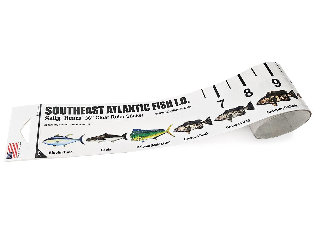 Salty Bones SE Atlantic Fish ID 36" Clear Ruler Sticker