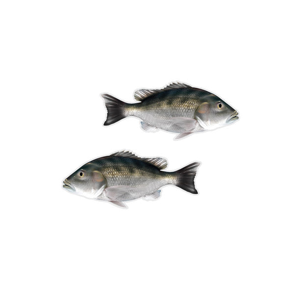 Gray Snapper Mini Profile Fish Decals