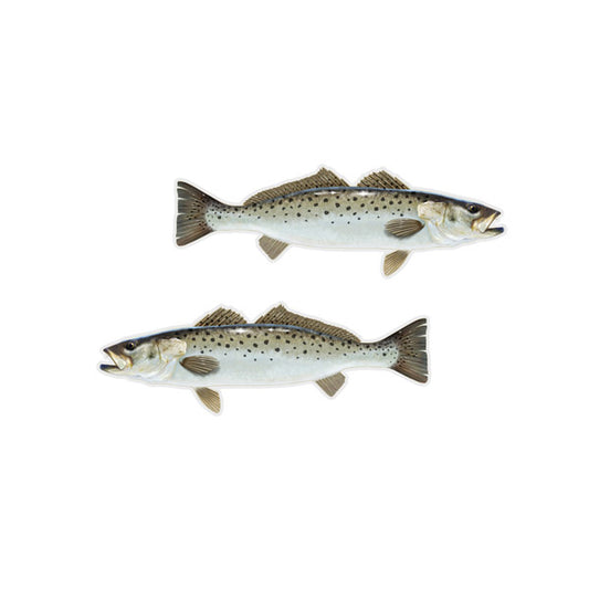 Speckled Trout Mini Profile Fish Decals