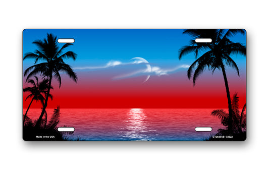 Red and Blue Palms Beach Scenic License Plate