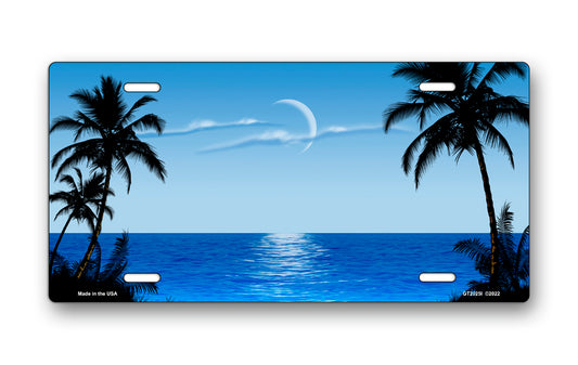 Light Blue Palms Beach Scenic License Plate