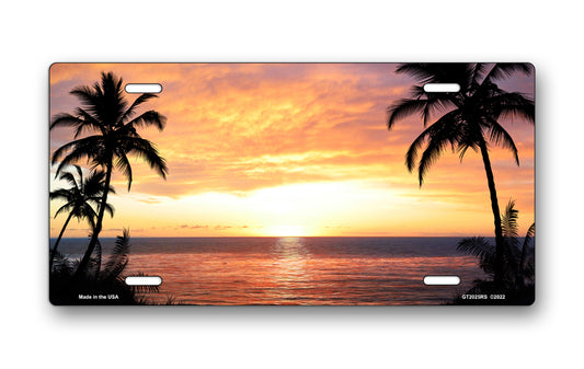 Real Sky Palms Beach Scenic License Plate