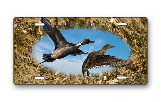 Pintail Ducks on Camo License Plate