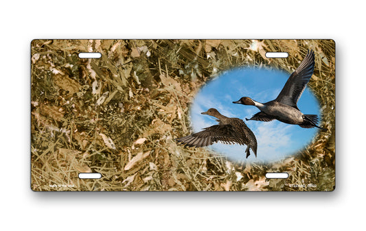 Pintail Ducks on Camo Offset License Plate