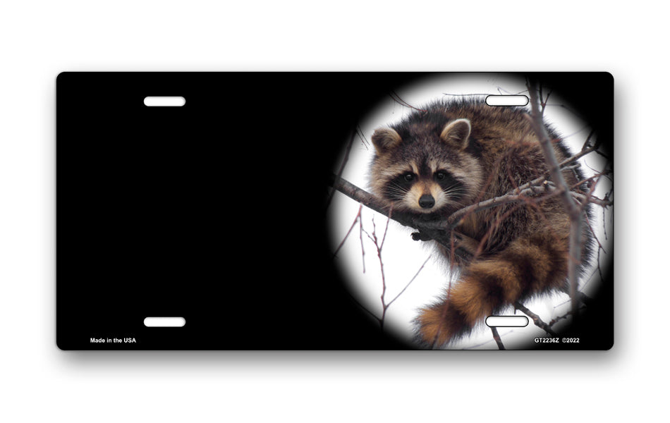 Raccoon on Black Offset License Plate