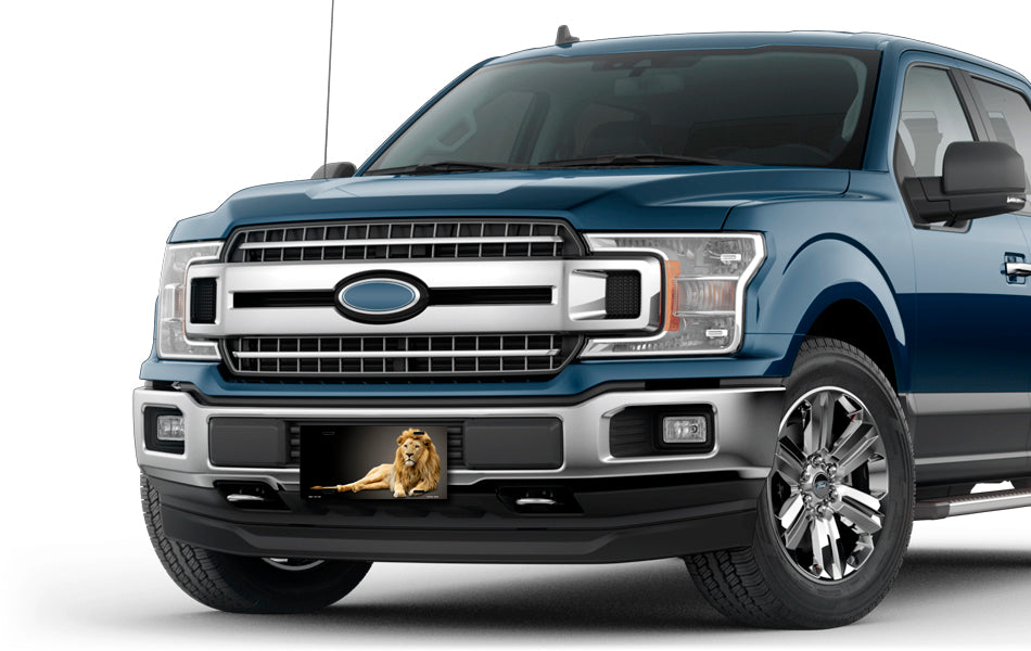 Lion on Black License Plate