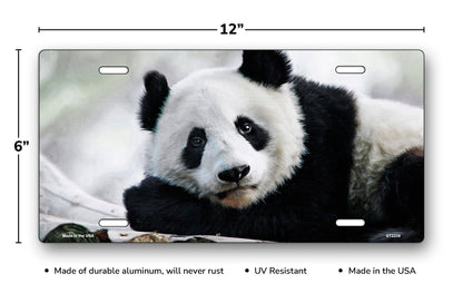 Panda License Plate
