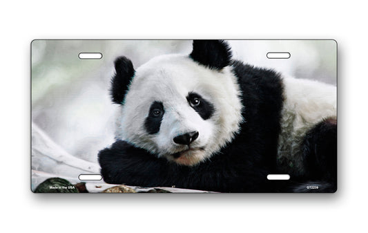 Panda License Plate