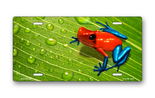 Dart Frog on Wet Leaf Offset License Plate