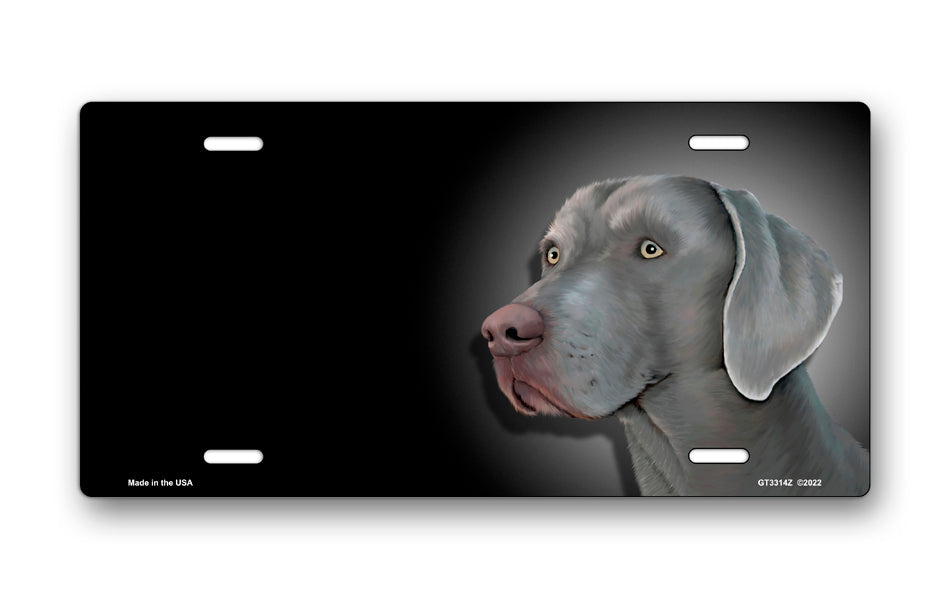 Weimaraner on Black Offset License Plate