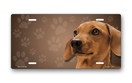 Brown Dachshund on Paw Prints License Plate