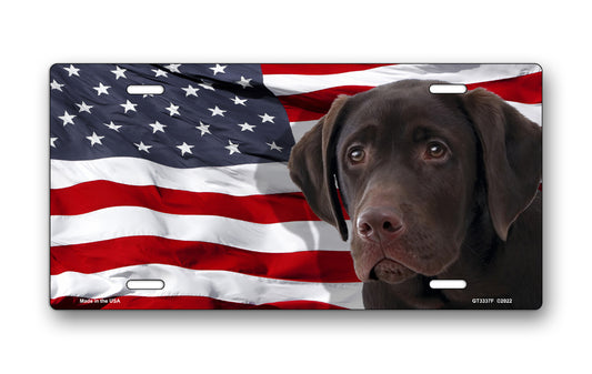 Labrador (Chocolate) on American Flag License Plate