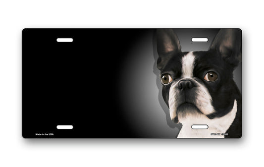 Boston Terrier on Black Offset License Plate