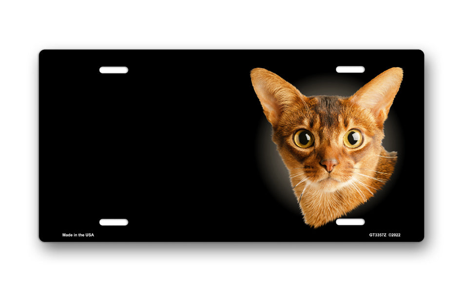 Abyssinian Cat on Black Offset License Plate