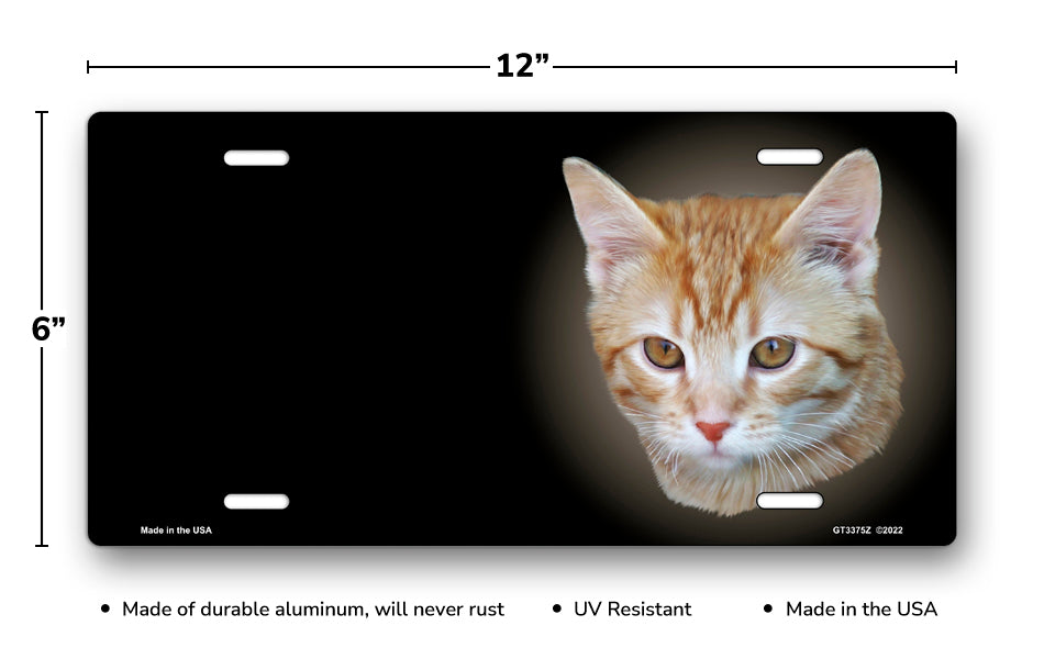 Orange and White Tabby Cat on Black Offset License Plate