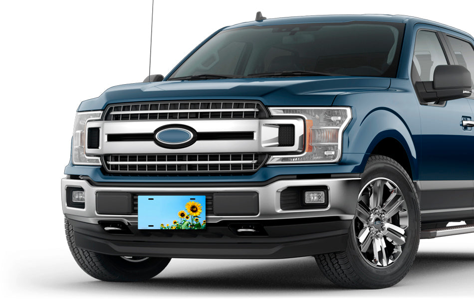 Sunflowers on Blue Offset License Plate