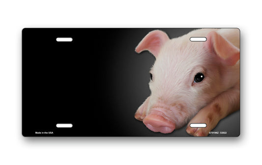 Pig on Black Offset License Plate