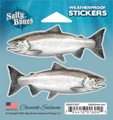Chinook Salmon Mini Profile Fish Decals