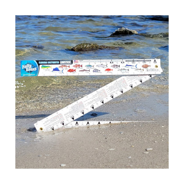 FOLDING RULERS – Salty Bones