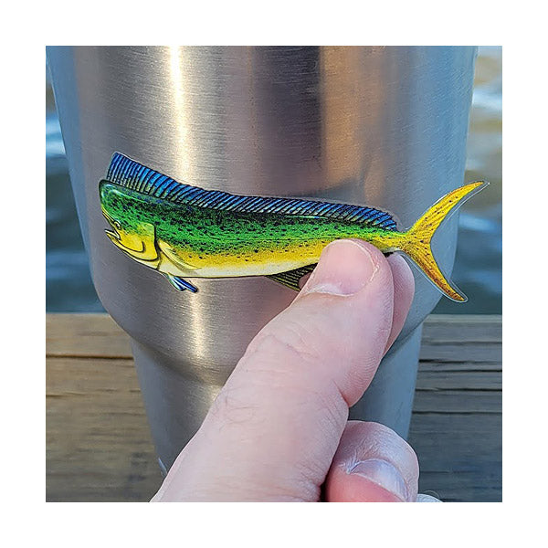 MINI FISH DECALS – Salty Bones