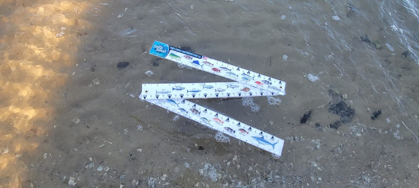Salty Bones East Coast Saltwater Fish ID - 36