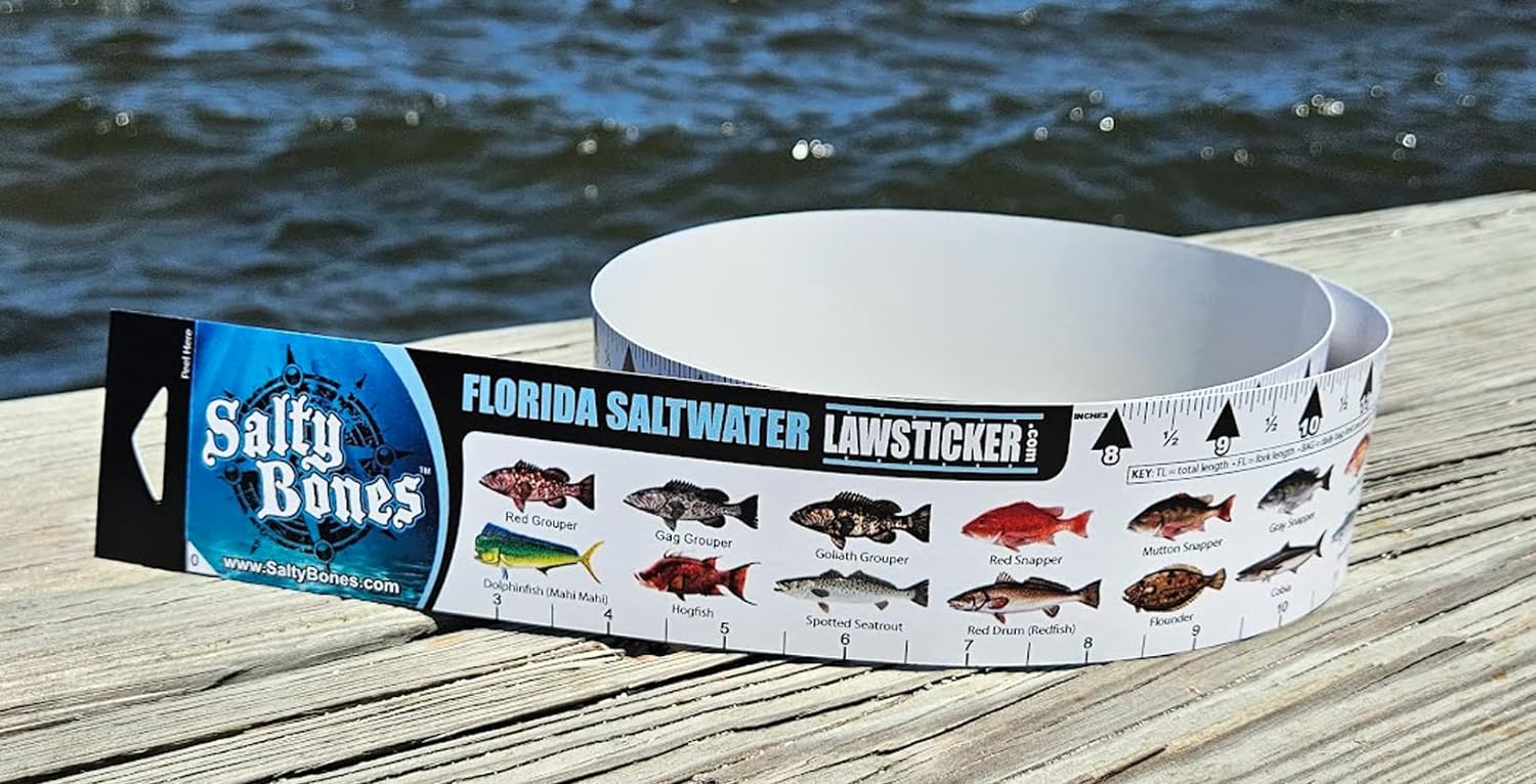  36” x 2” Vinyl Adhesive Ruler Decal Showing 20 Common Florida  Saltwater Fish in True-to-Life Color Photographs and Their Current FWC Rules  with Highlighted Slot Limit Brackets. UV Protected. : Sports