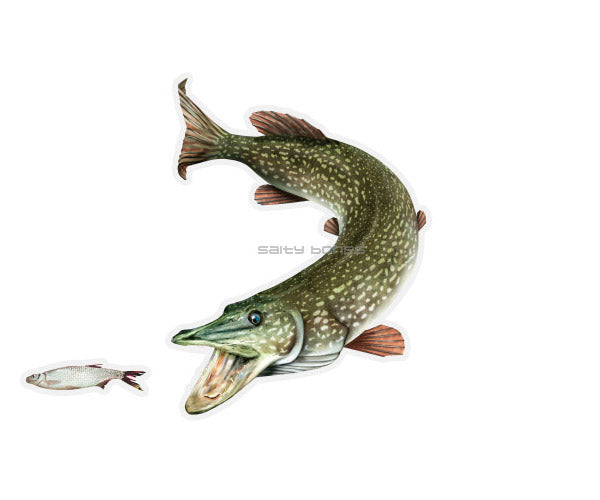 Northern Pike Mega Decal