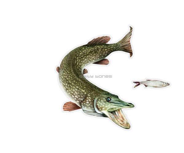 Northern Pike Mega Decal