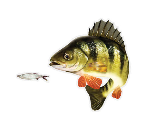 Yellow Perch Mega Decal