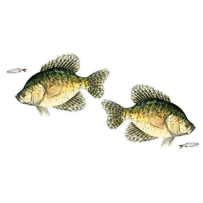 Crappie Mega Decal Double Pack
