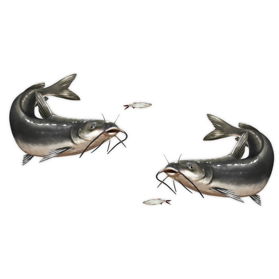 Channel Catfish Mega Decal Double Pack