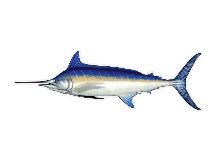 Marlin Profile Fish Decal